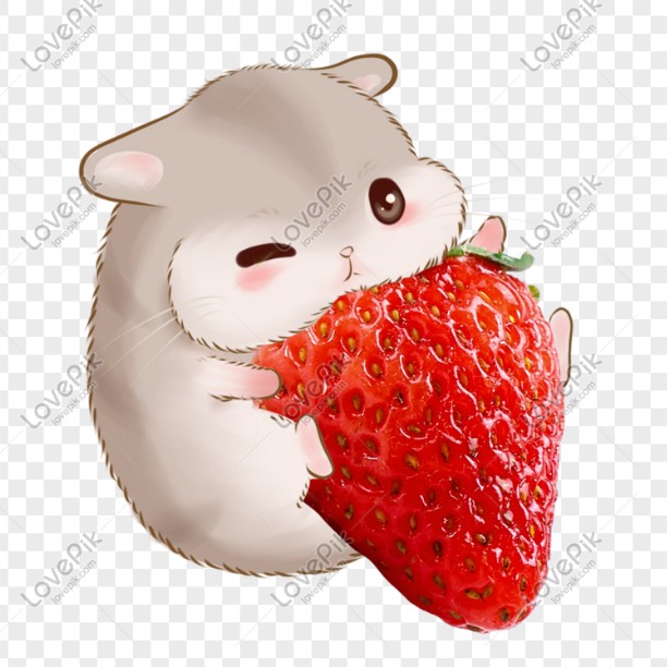 炸毛的倉鼠🐹