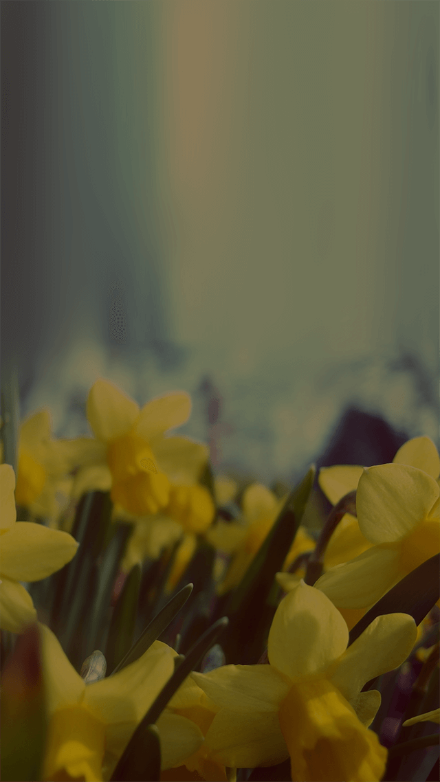 歡迎來到呼呼的療天室