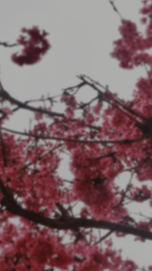 歡迎來到呼呼的療天室