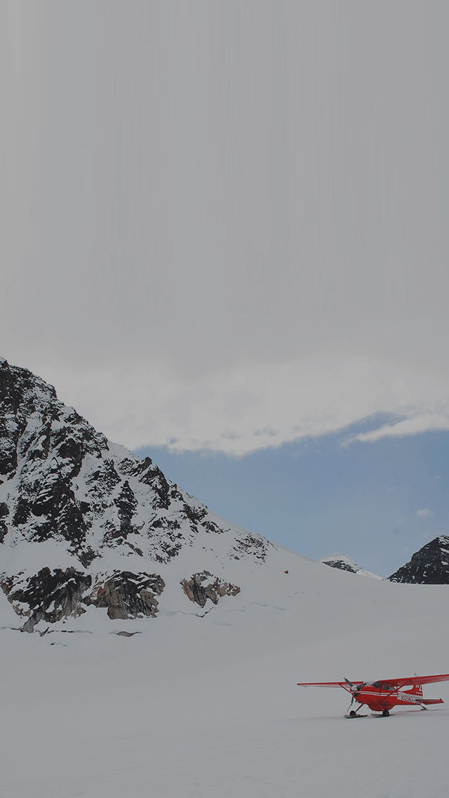 歡迎來到呼呼的療天室