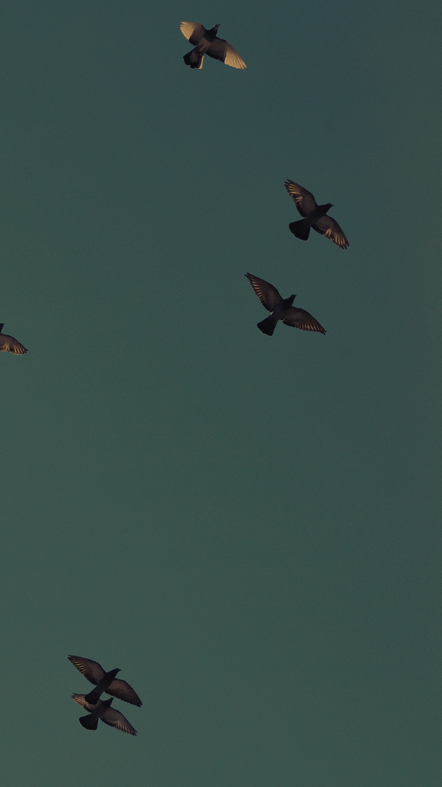 嘻哈街頭風暴🌪️