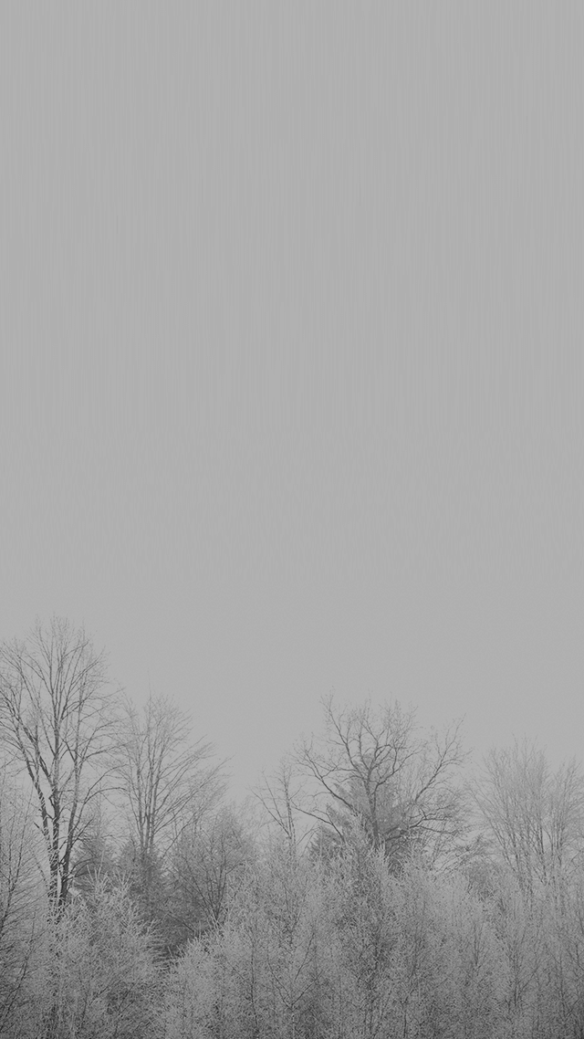 歡迎來到呼呼的療天室