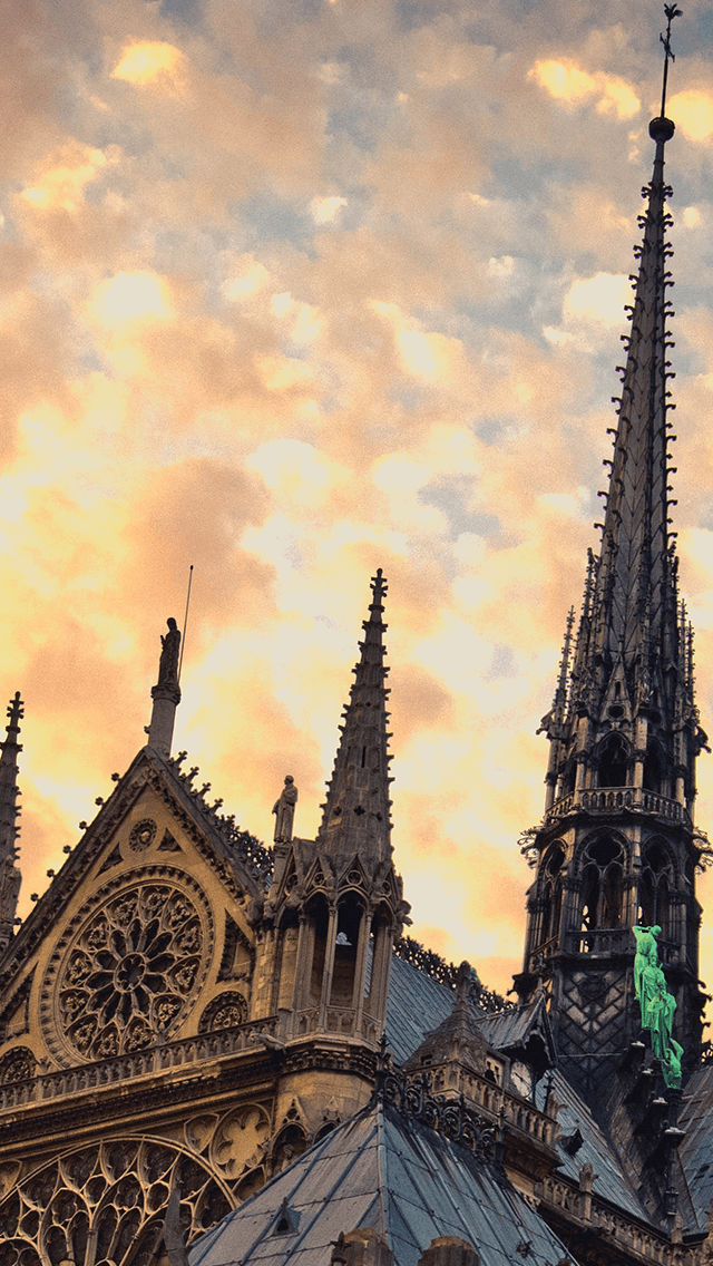 歡迎來到呼呼的療天室