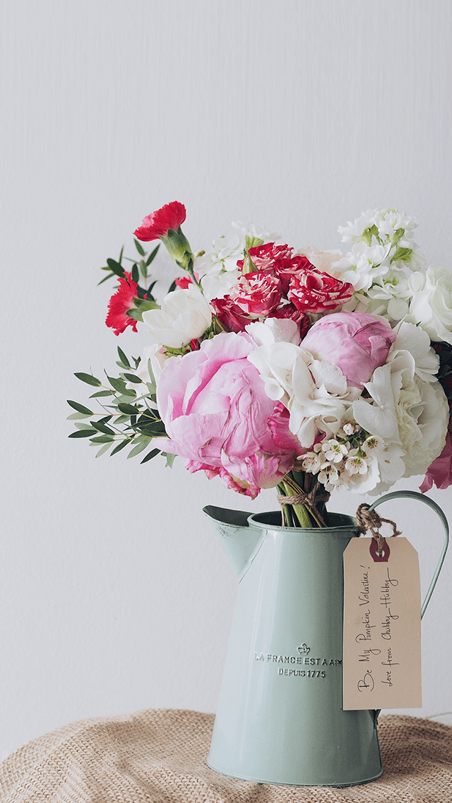 歡迎來到呼呼的療天室