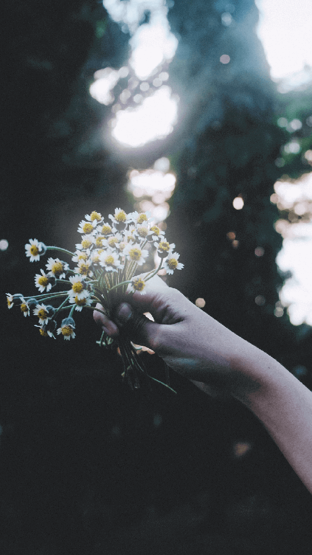 歡迎來到呼呼的療天室