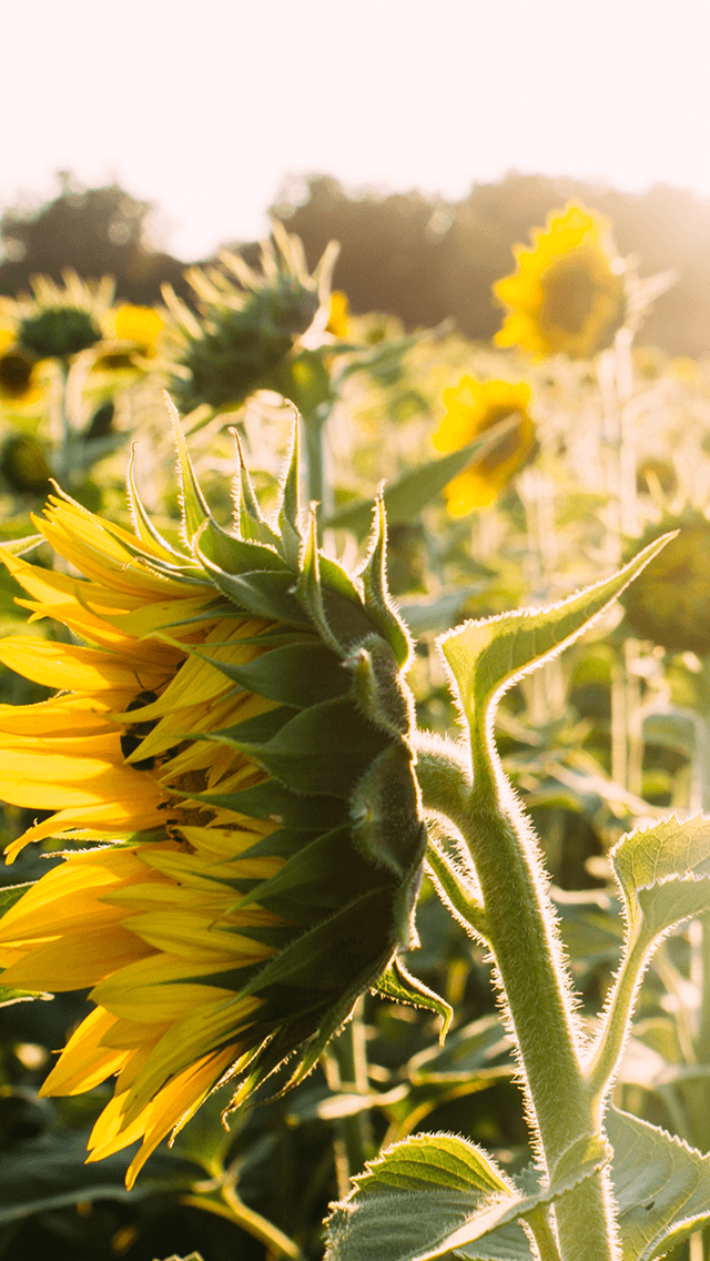 今天來點流行歌☀️