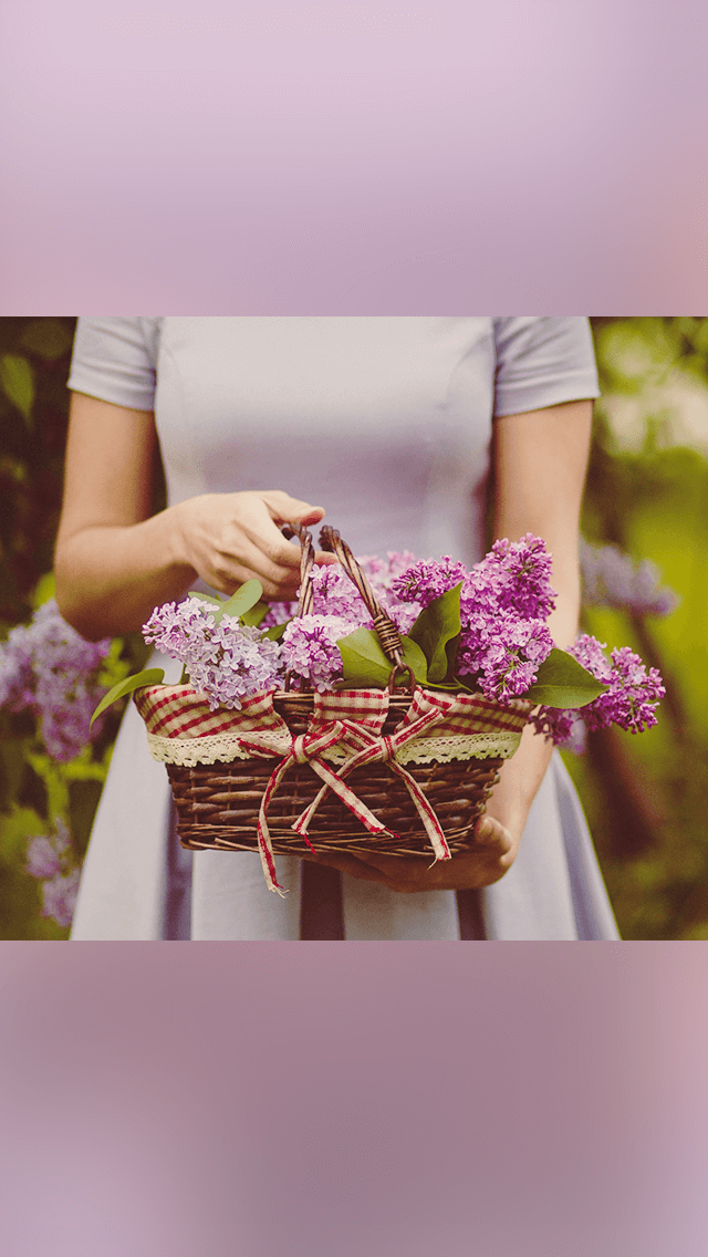 歡迎來到呼呼的療天室