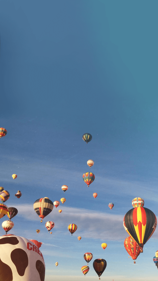 歡迎來到呼呼的療天室