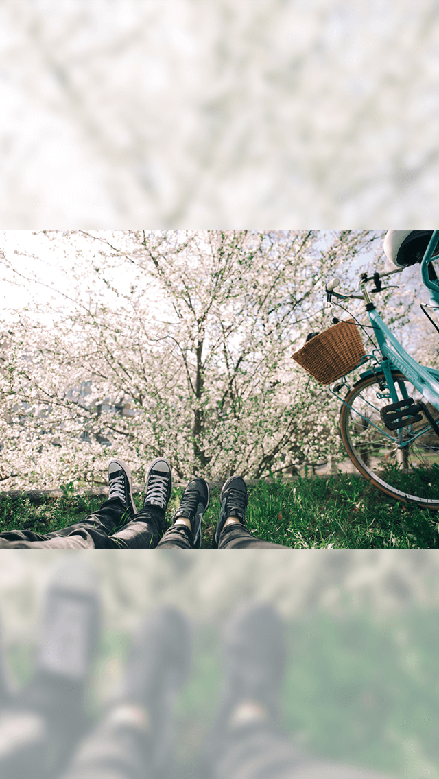 歡迎來到呼呼的療天室