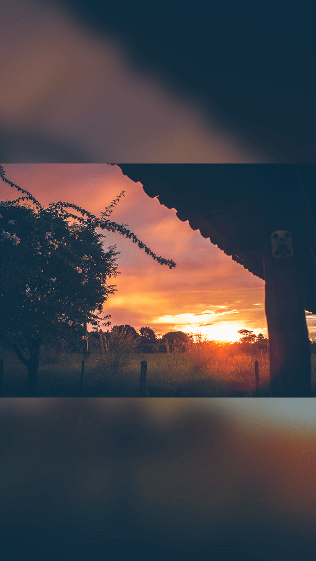 歡迎來到呼呼的療天室