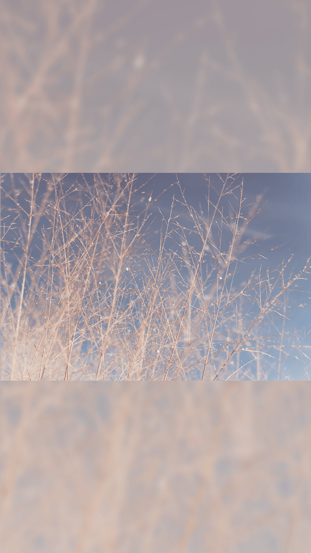 歡迎來到呼呼的療天室