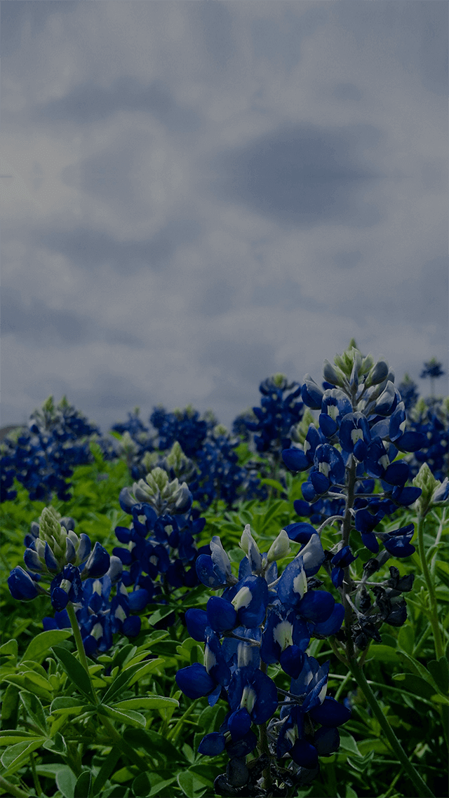 浪漫英文情歌❤️