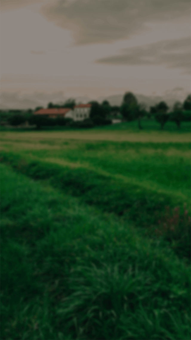 (音樂台)動漫神曲連發