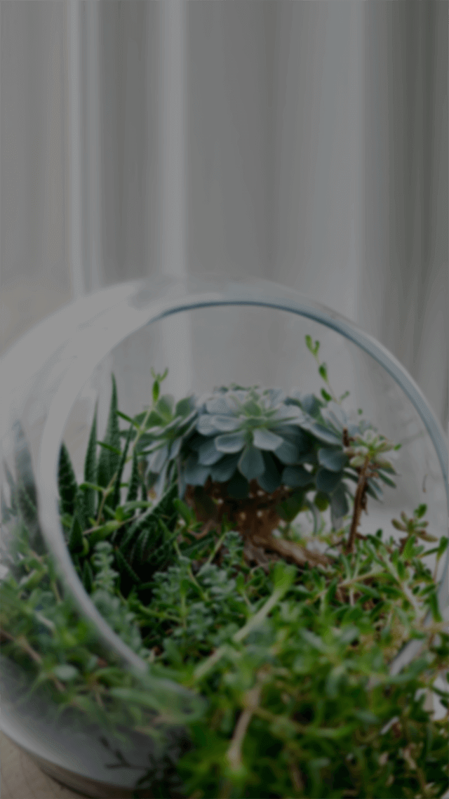 歡迎來到呼呼的療天室