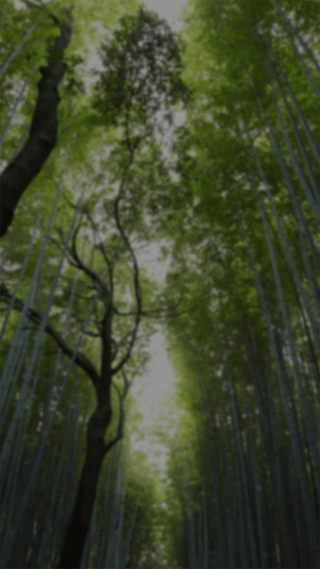 歡迎來到呼呼的療天室