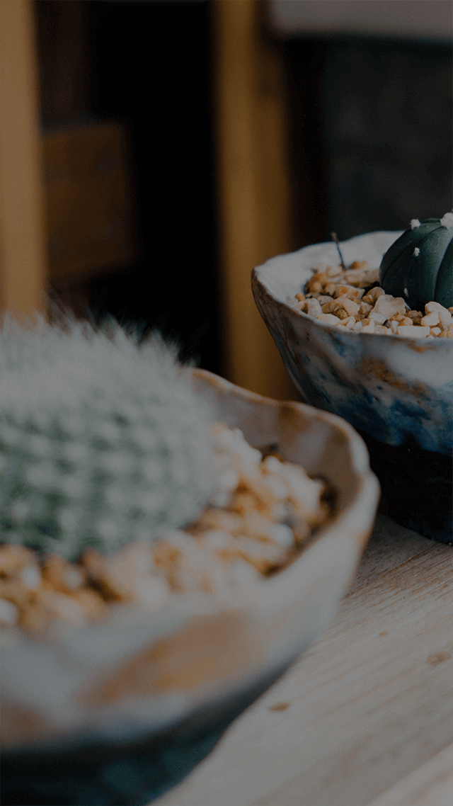 新手直播小教室