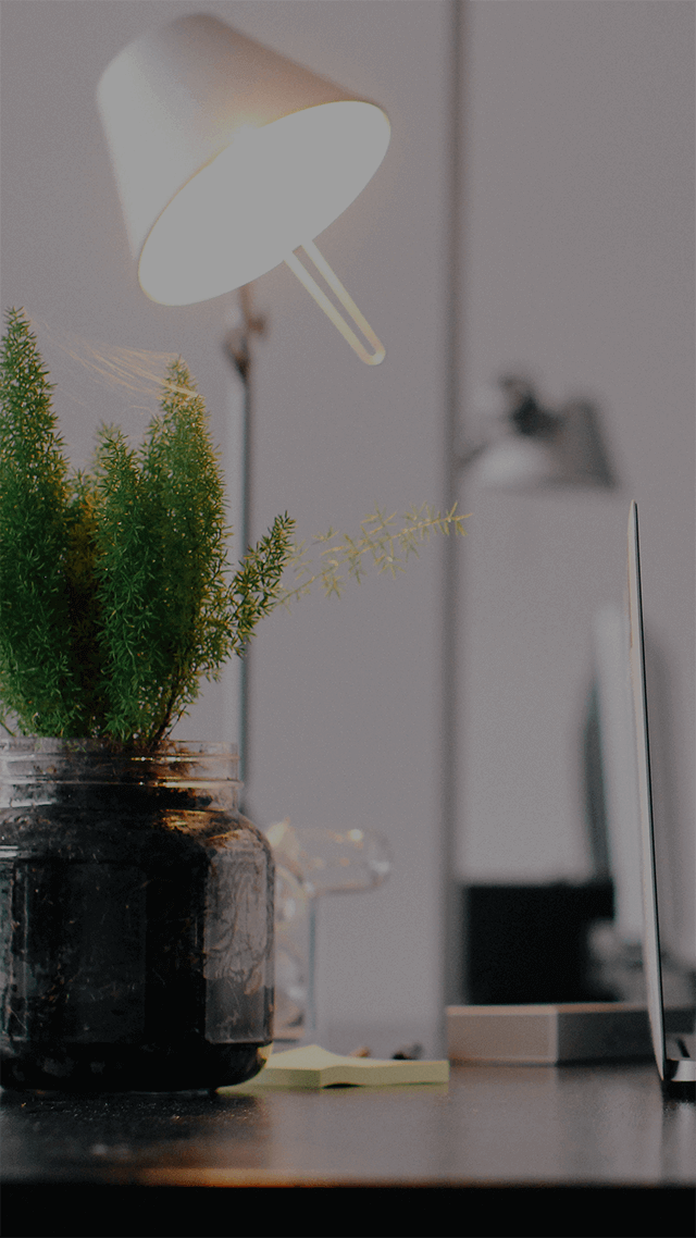 歡迎來到呼呼的療天室