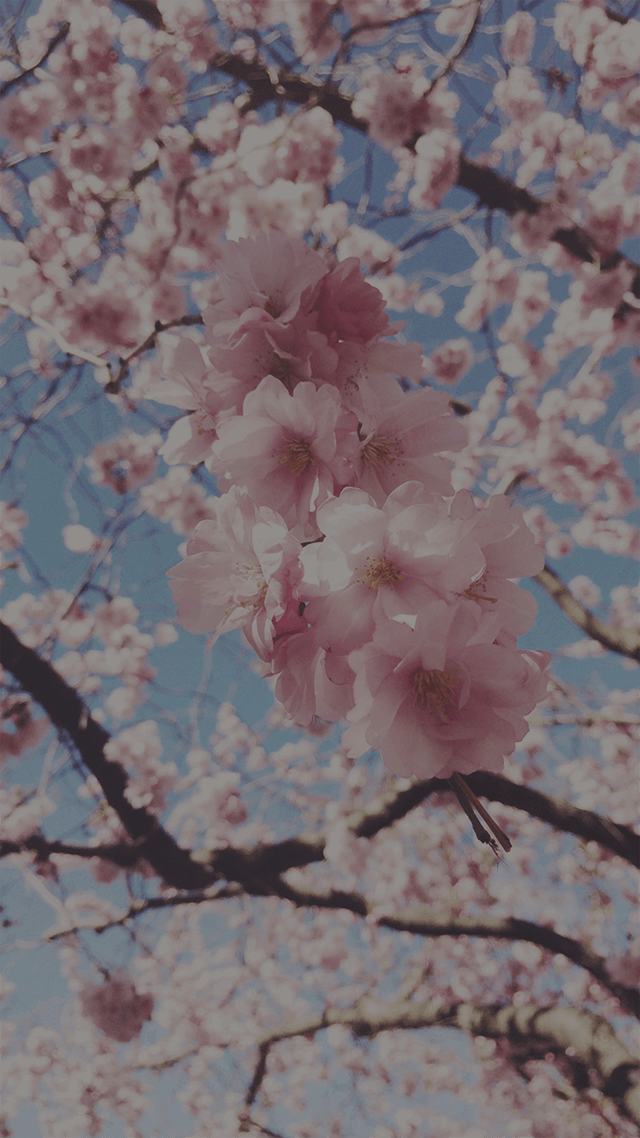 💔走心療傷歌單