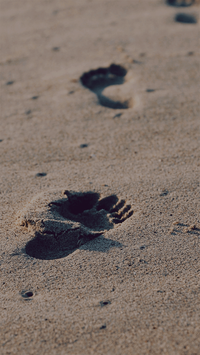 歡迎來到呼呼的療天室