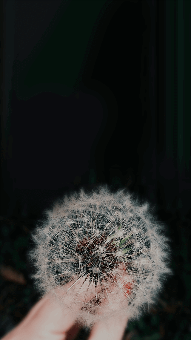 歡迎來到呼呼的療天室