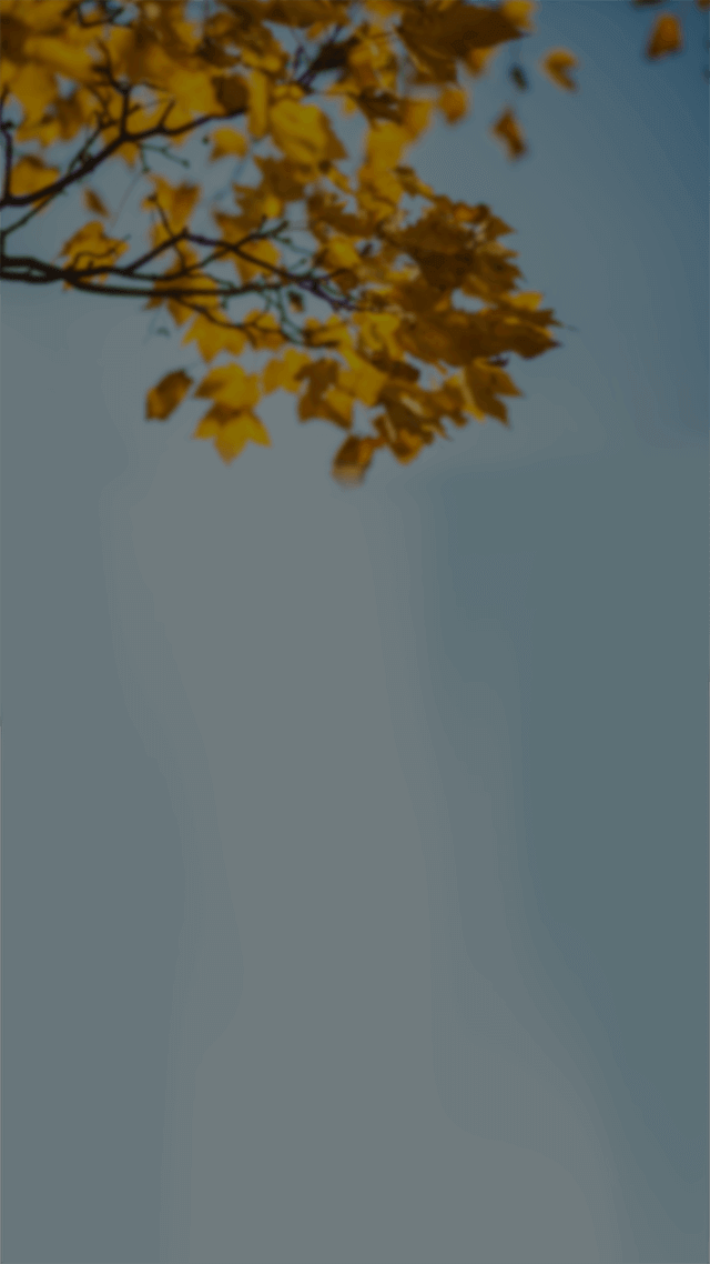 歡迎來到呼呼的療天室