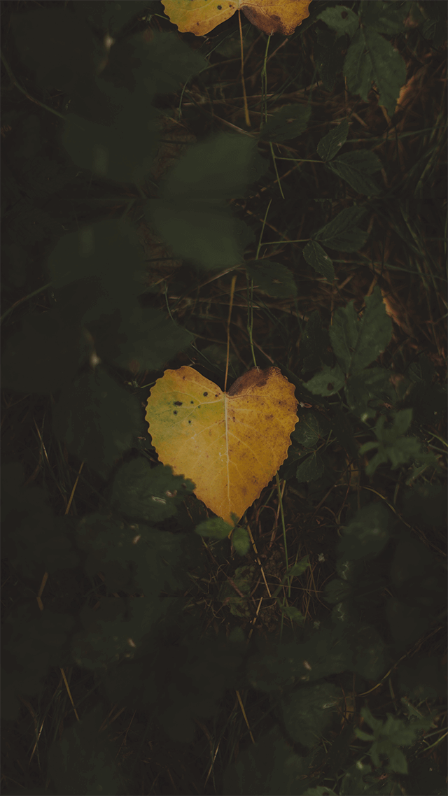 經典搖滾殿堂🎸