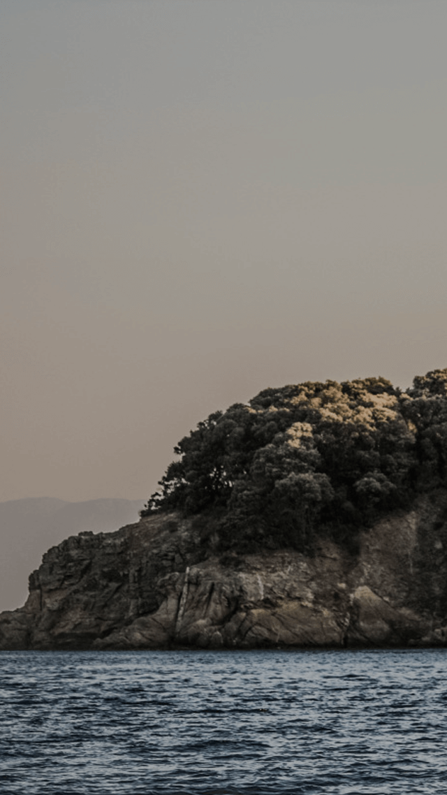 國外獨立樂團歌單