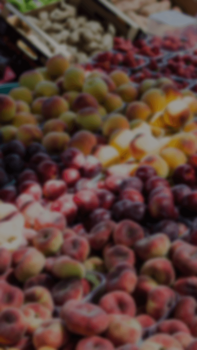 新手直播小教室