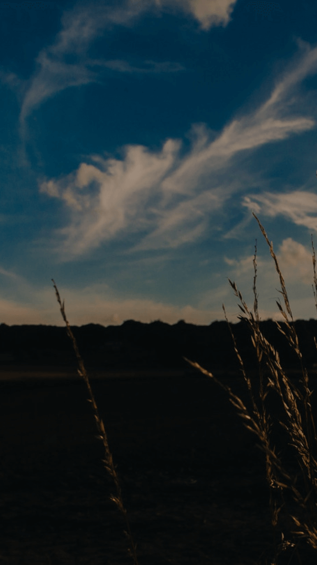 歡迎來到呼呼的療天室