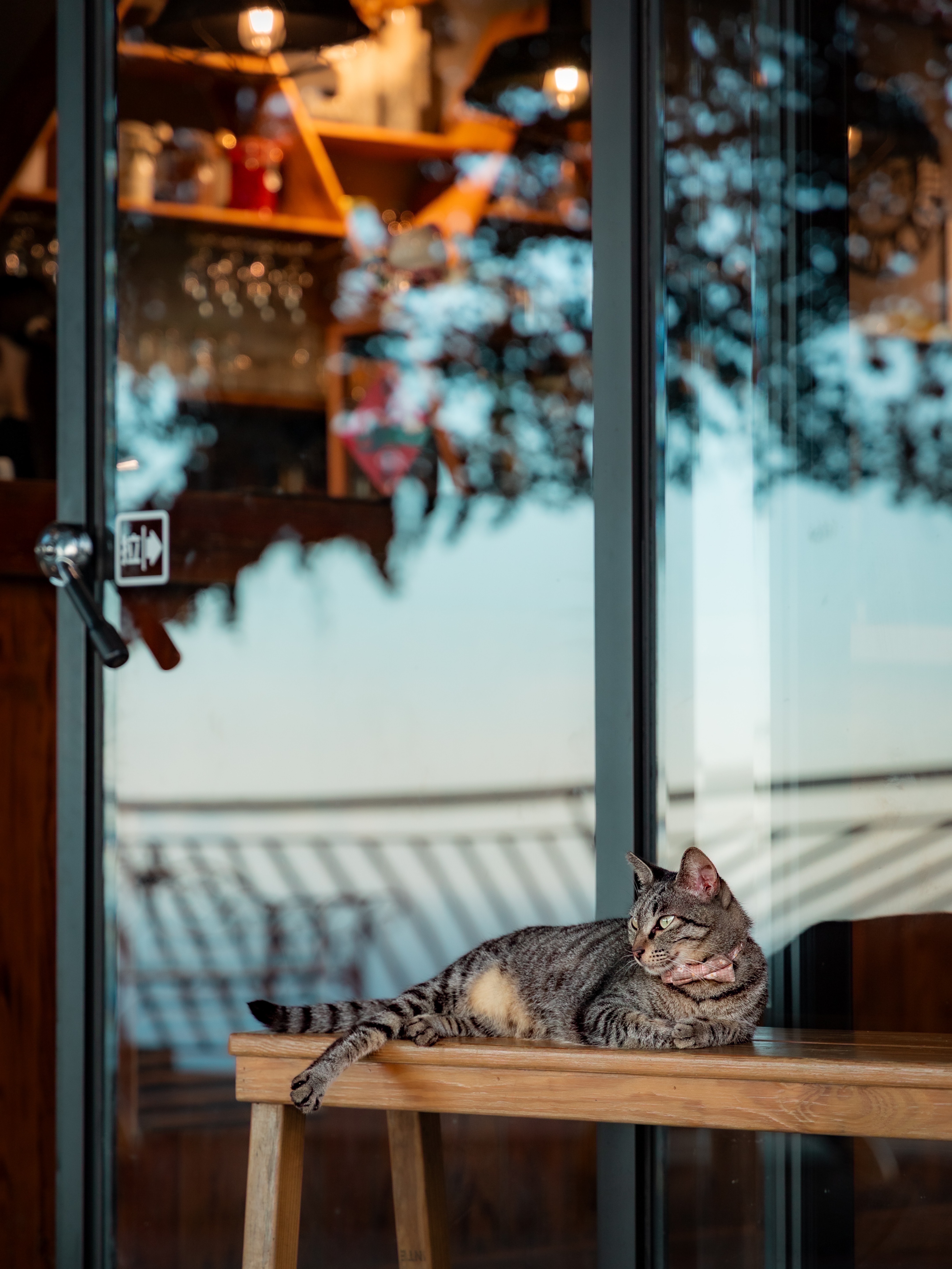 熊野要把你的杯子拍飛了是否阻止(Y/N)