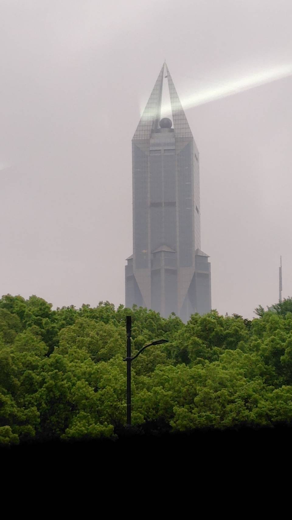 被盯上的尖嘴鉗😏😏