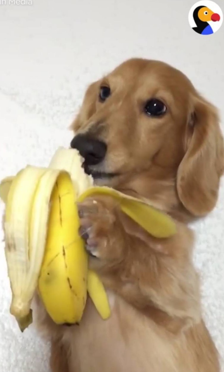 今天太趕先聽歌,明天再聊🤗