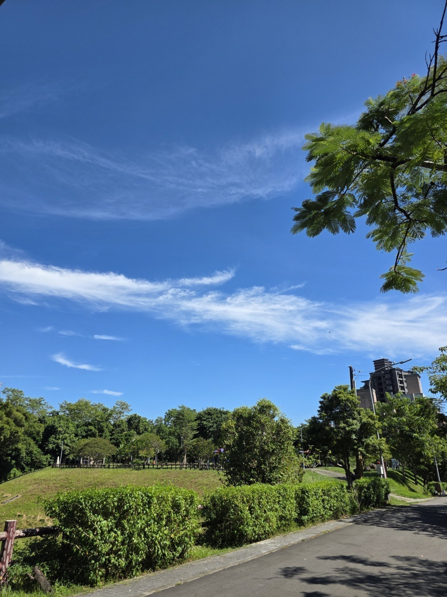 原創歌曲連播|只有音樂陪你,不用說話