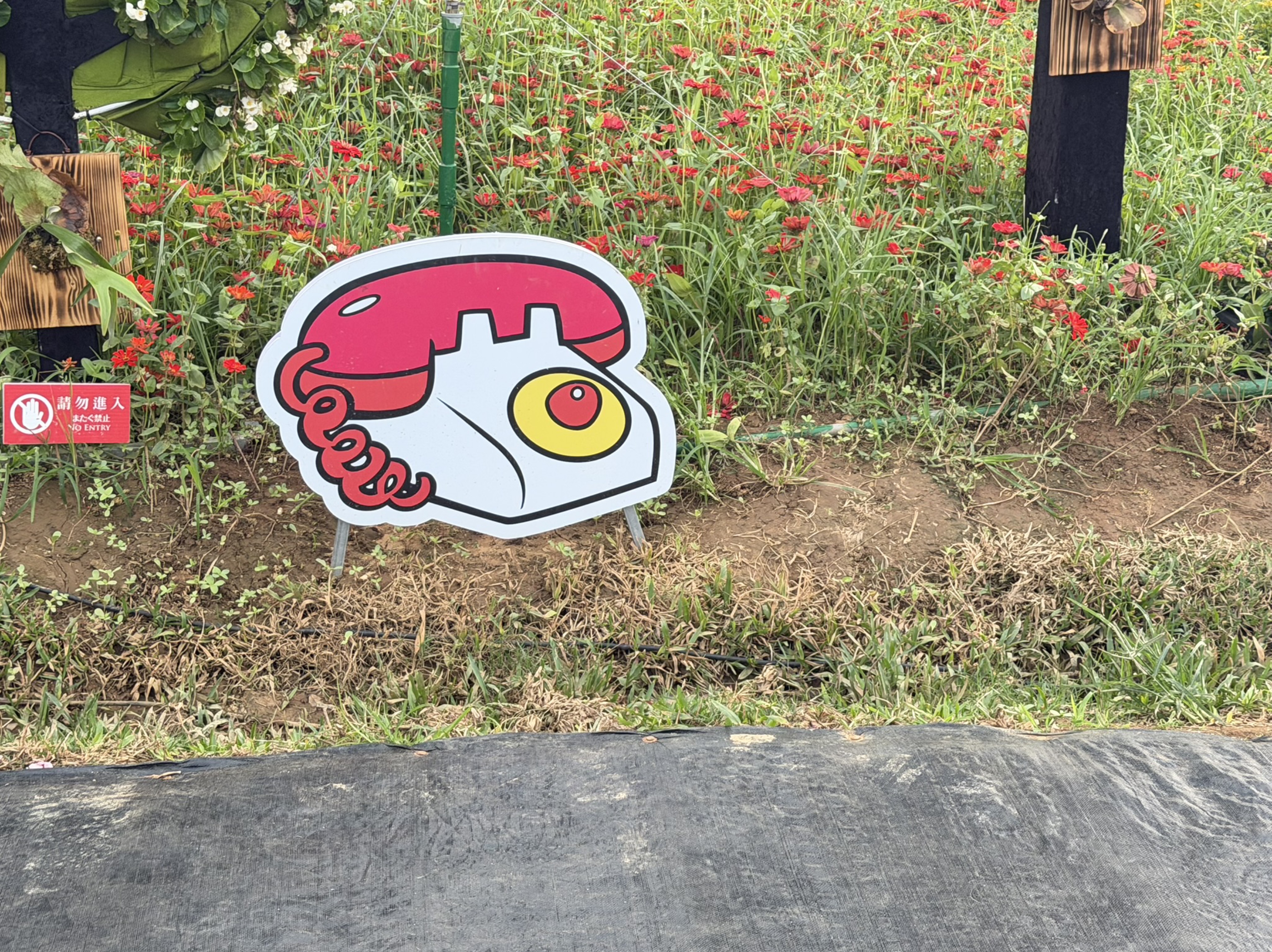 啊就找不到名牌