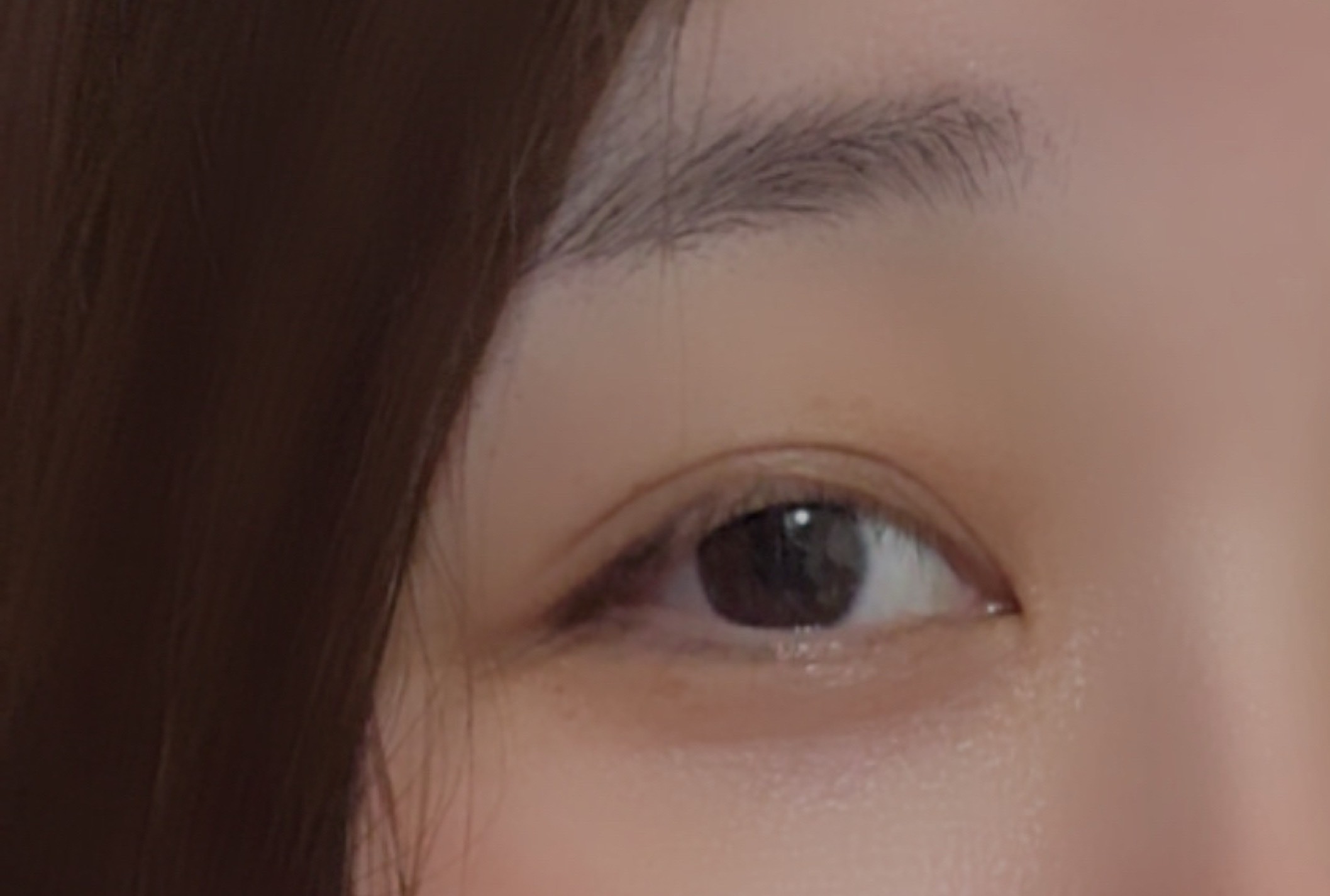 菜鳥！你要吃🍎嗎？