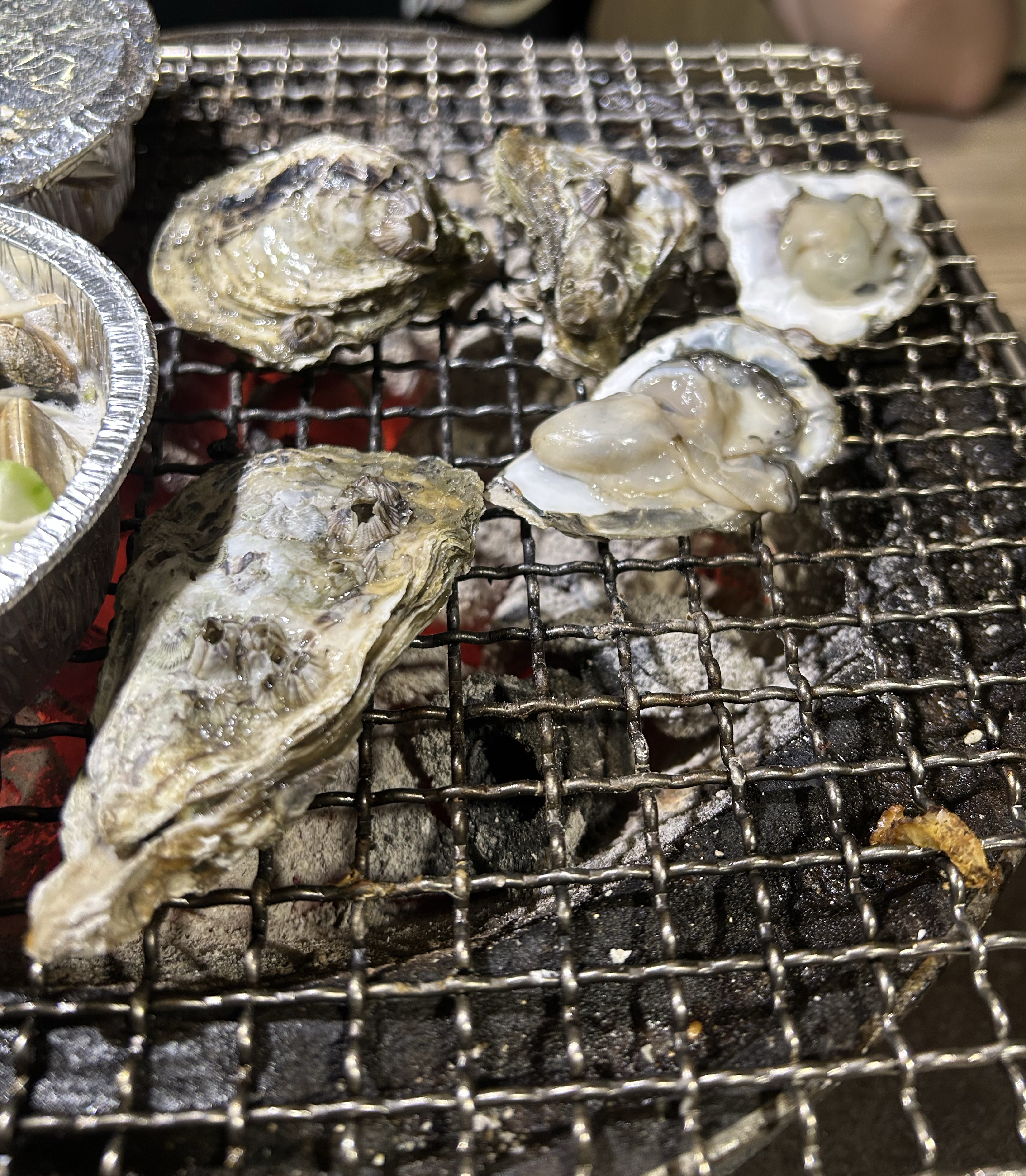 日常播（沒法招呼）