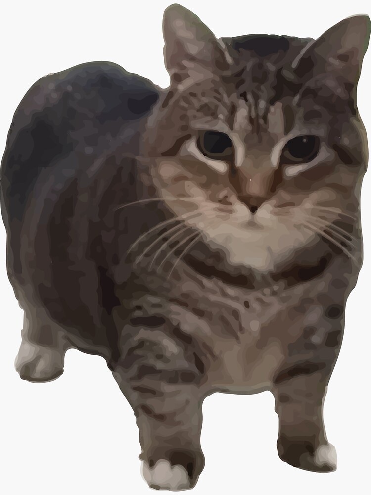 試播  今晚來一點特別的👍