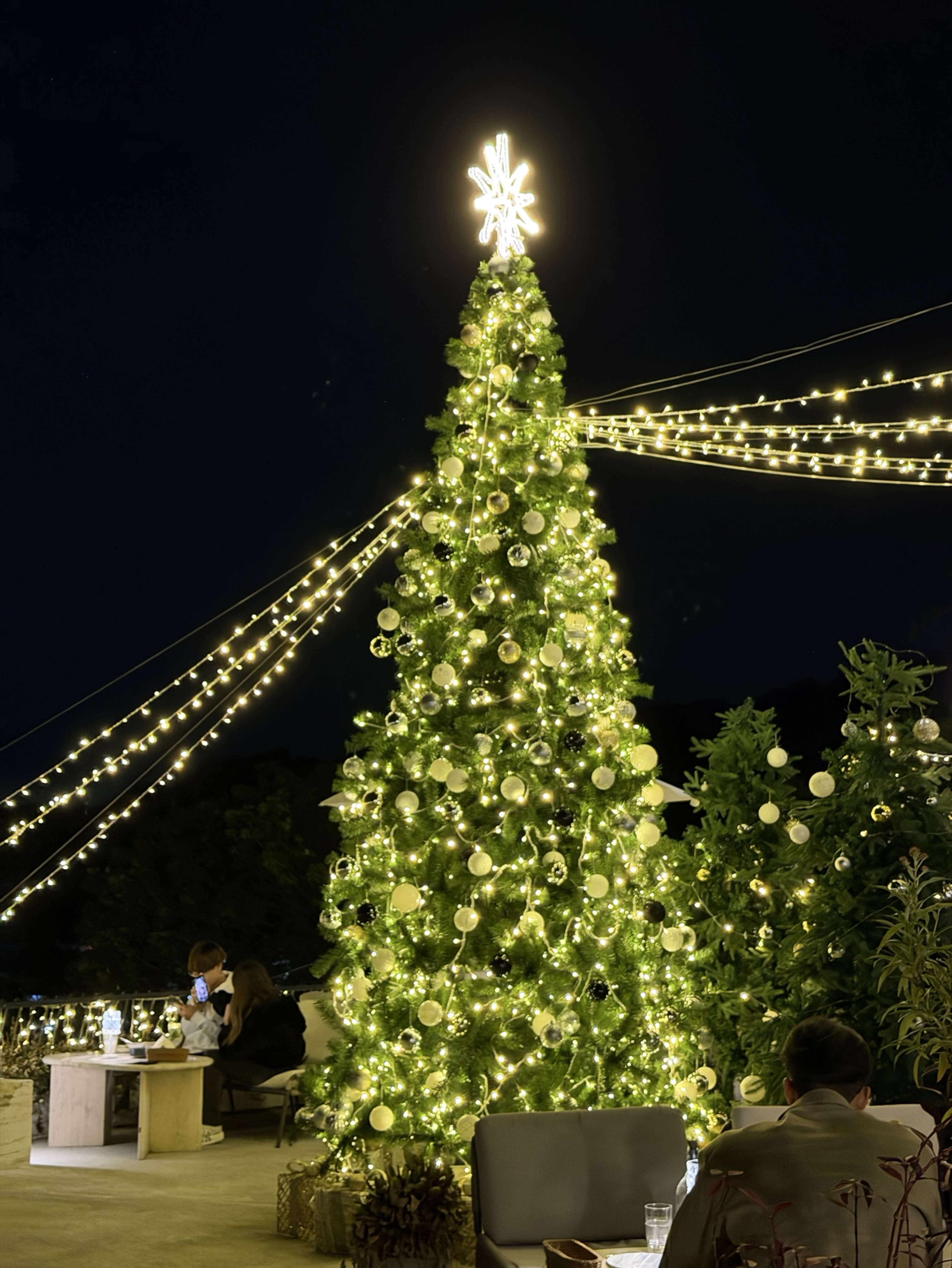 🐦🔥有微光的日常♡