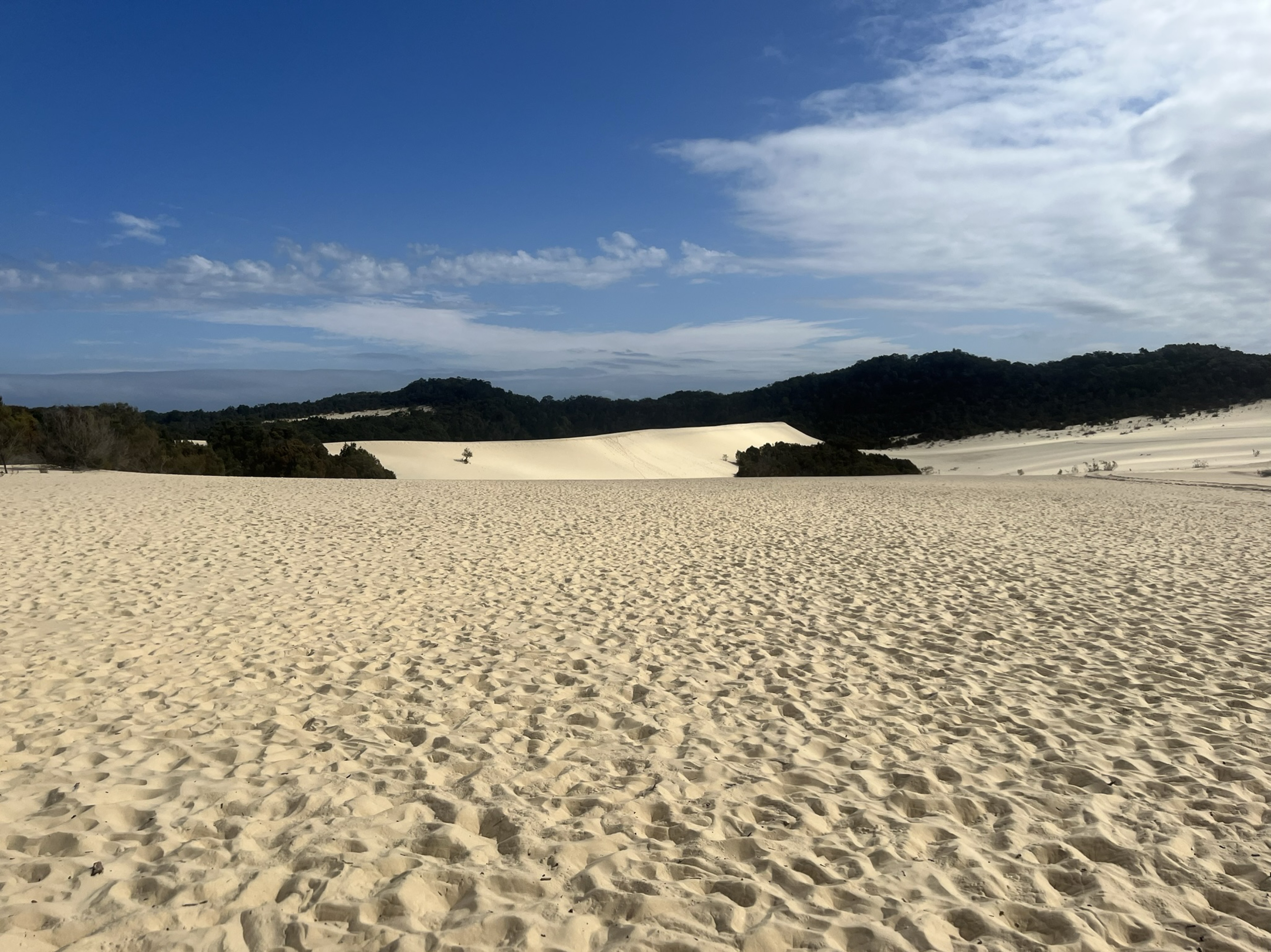 你今天吃🍎了嗎😚