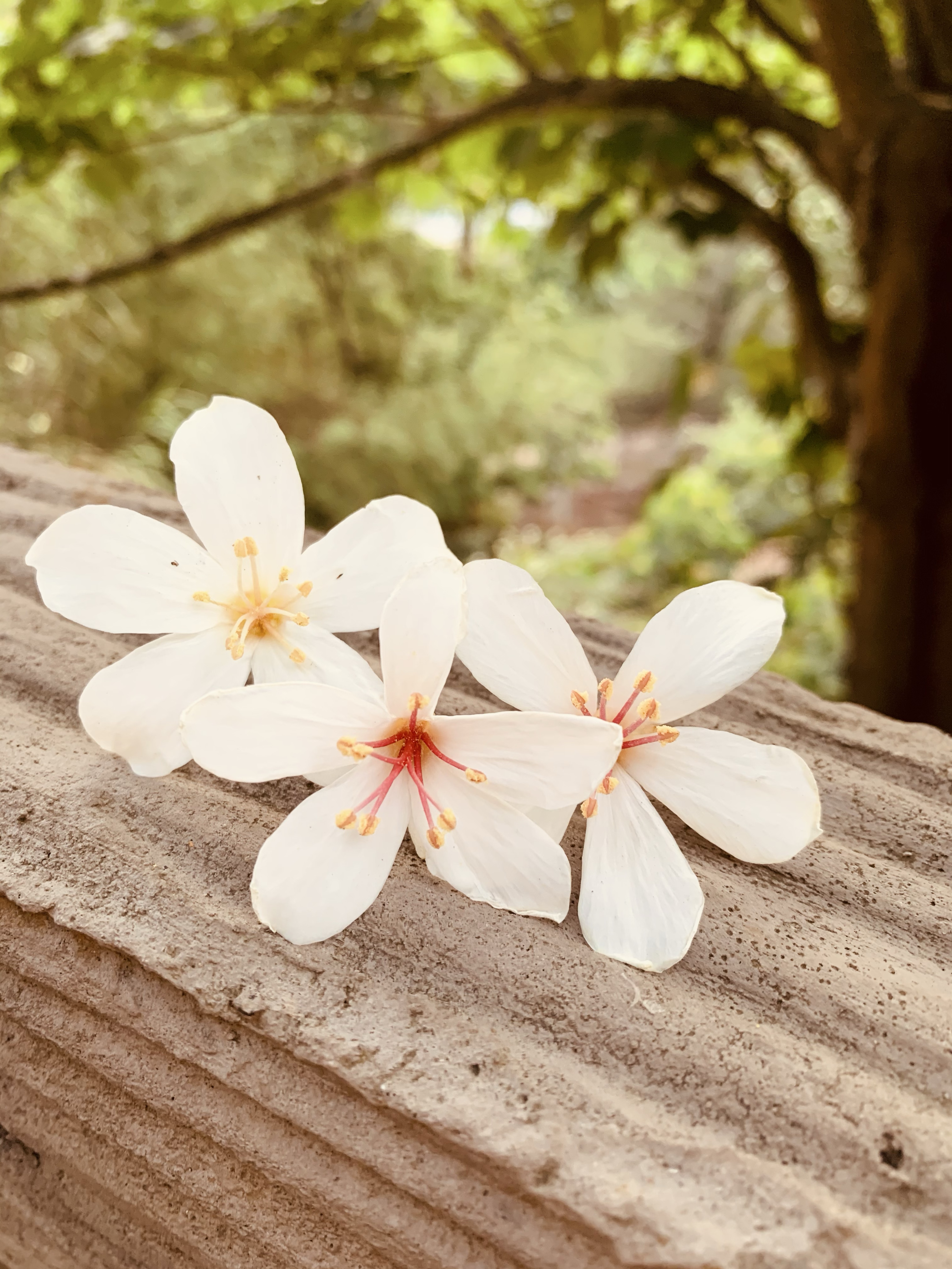 太久沒接聲卡..有點忘了😄😄