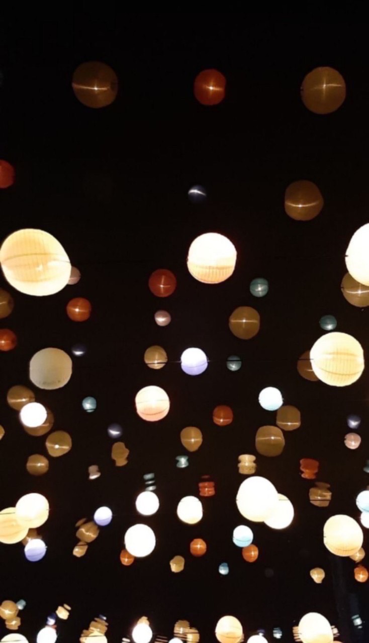 🐈‍⬛喵窩🐈‍⬛