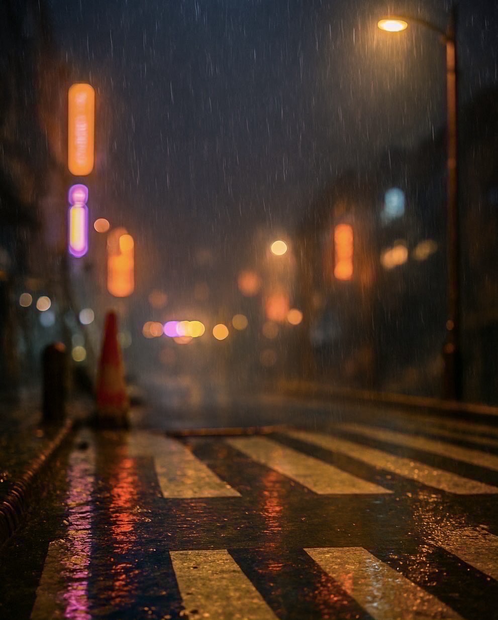 🫧ʕ•ᴥ•ʔ 🎄12月☃️