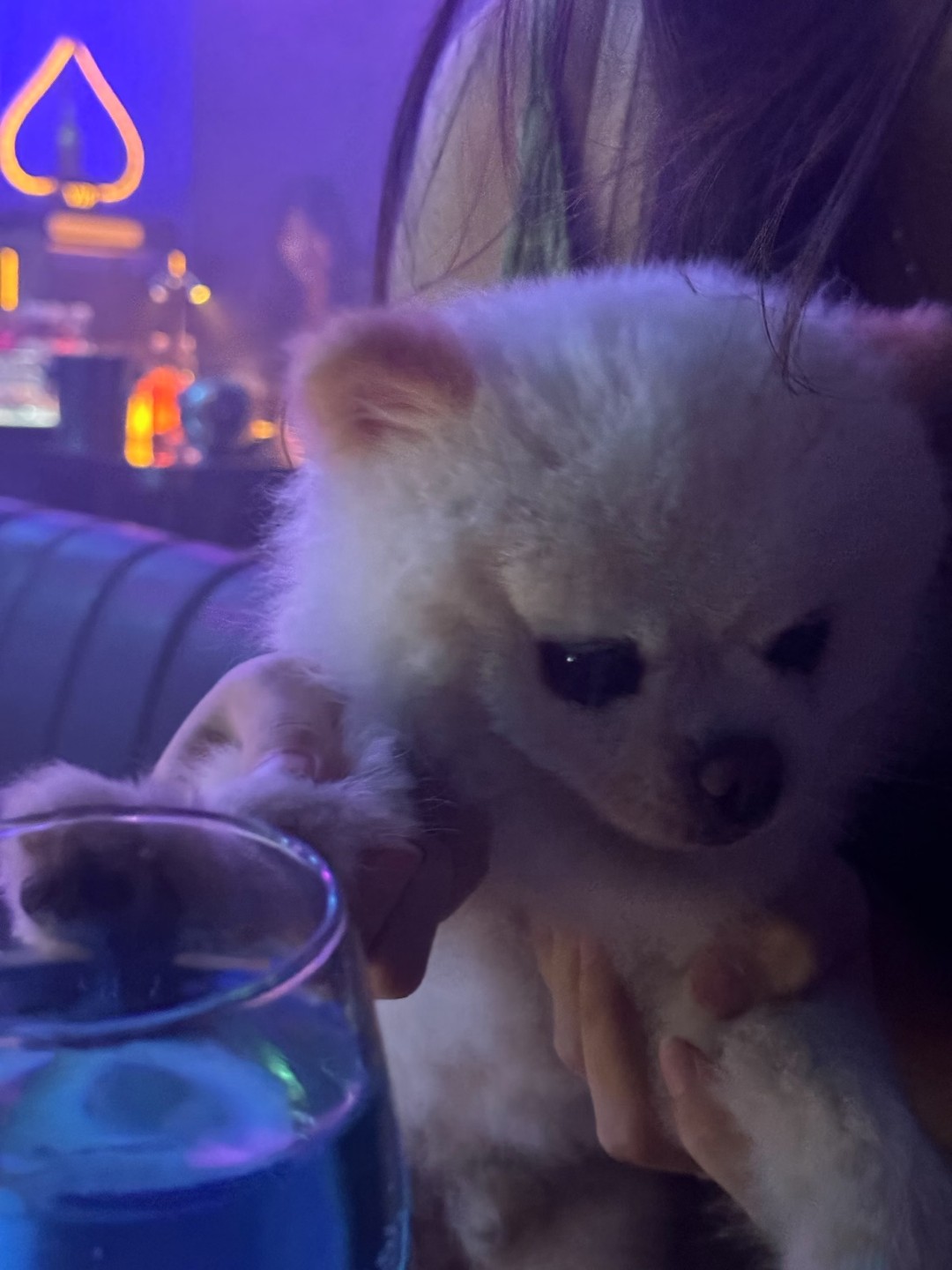 每天的每天的每天