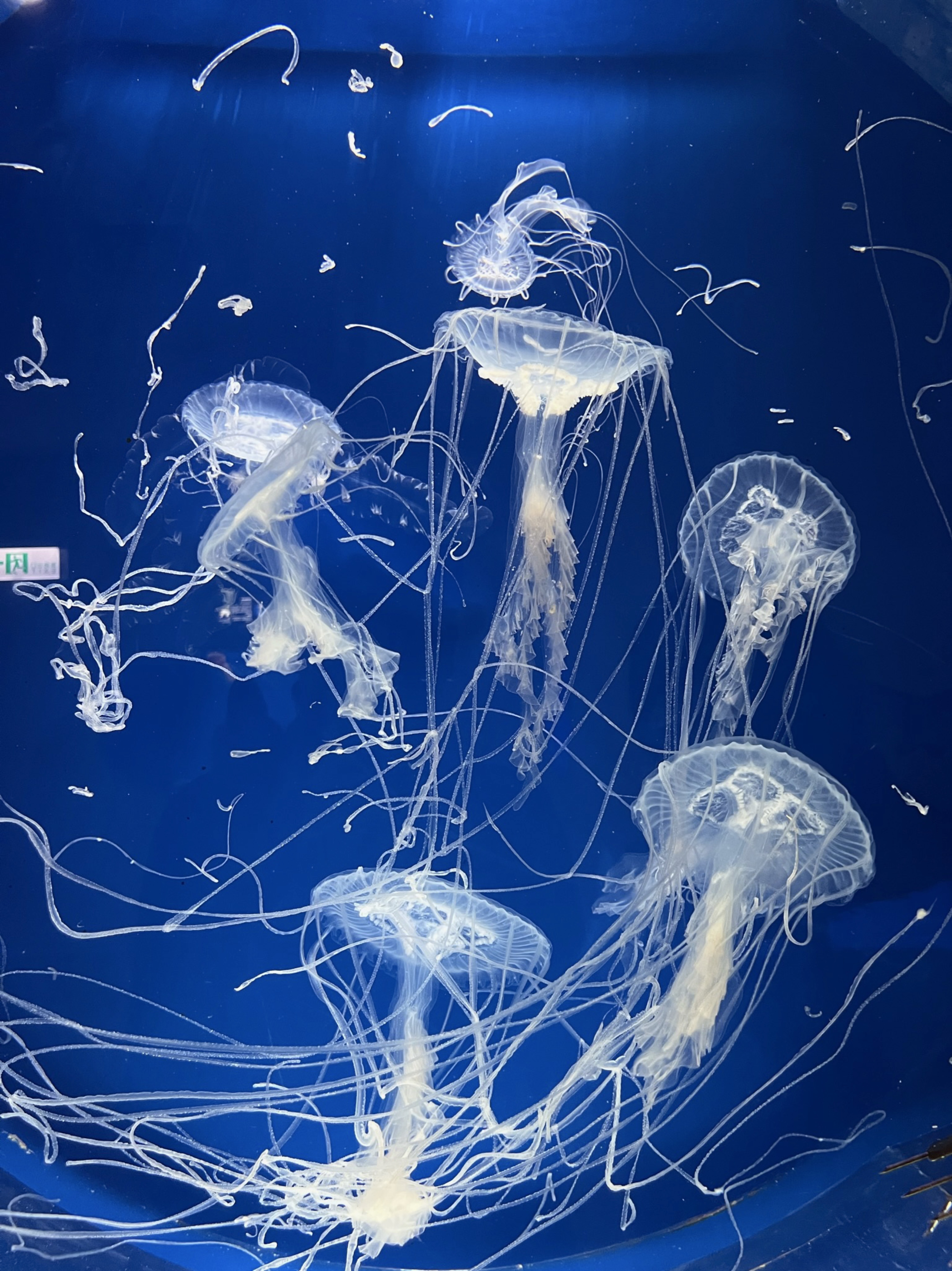 早安.🥪吃個早餐（上班短播..