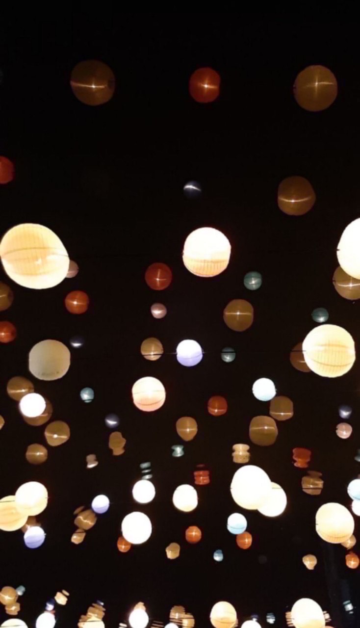 🐈‍⬛喵窩🐈‍⬛