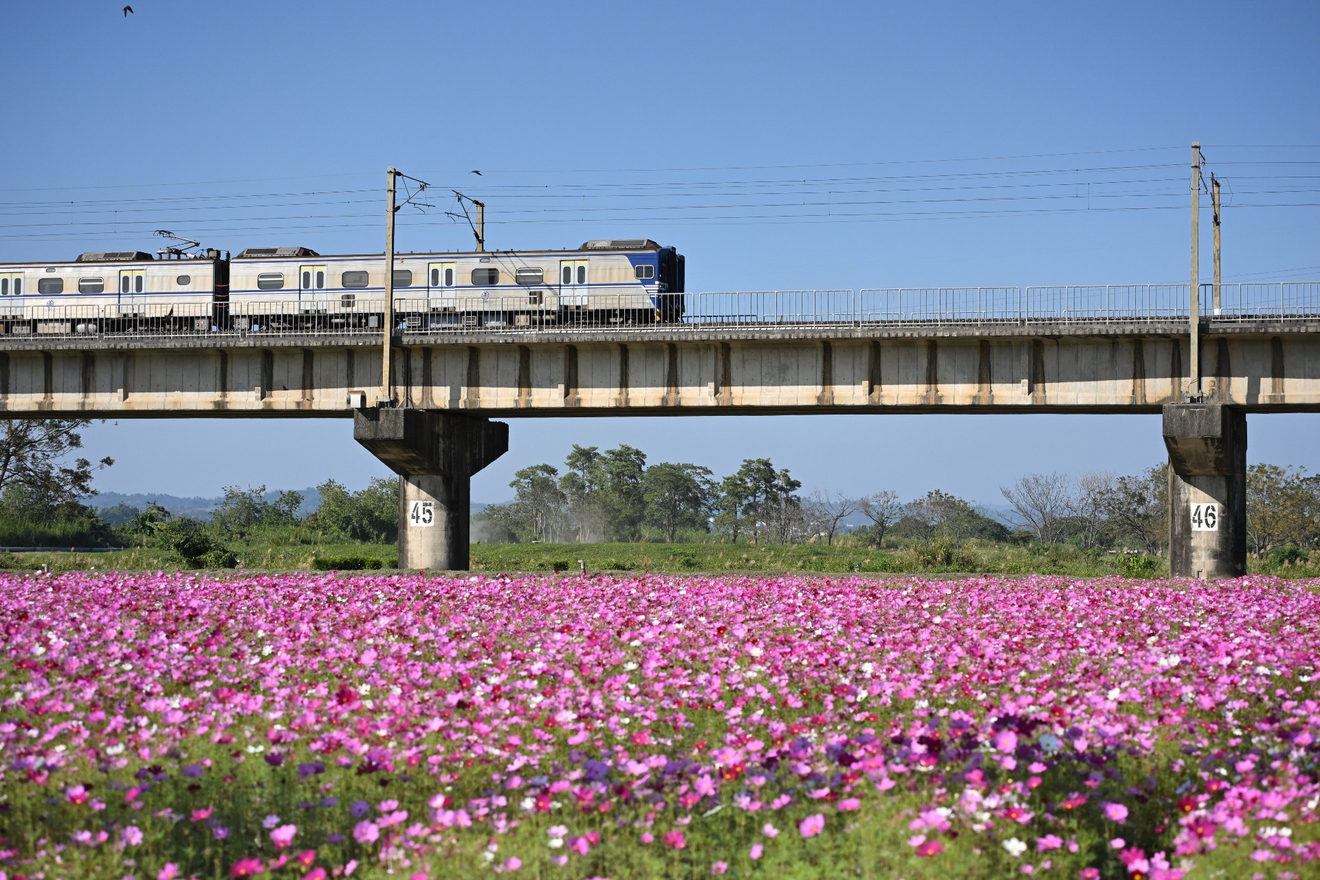 回味2010年代歌單