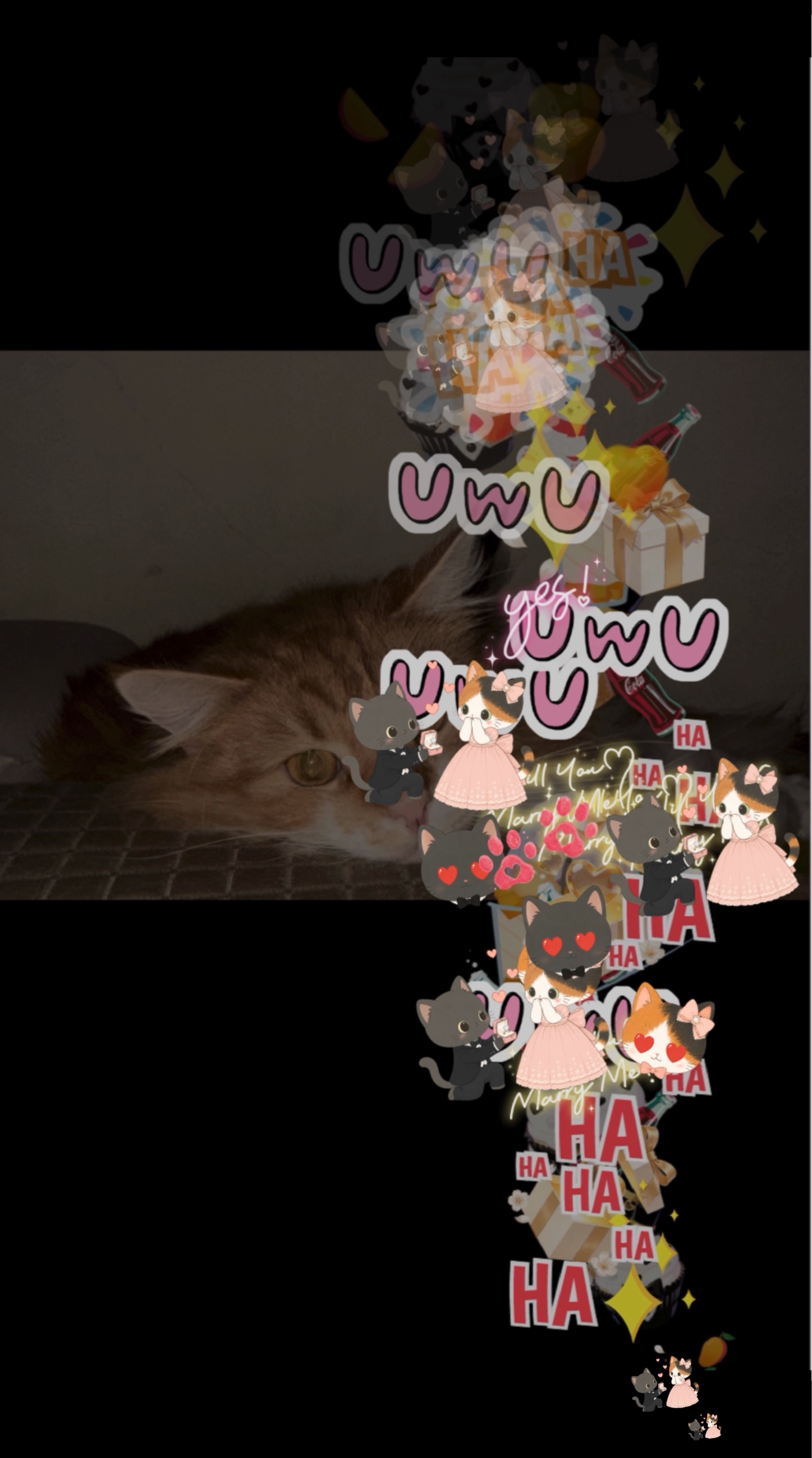 歡迎光臨❗️
