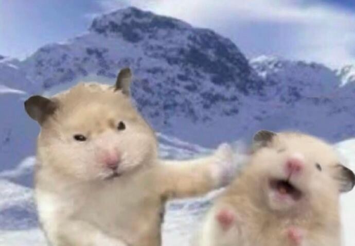 Ⓜ️晴空星漫✨