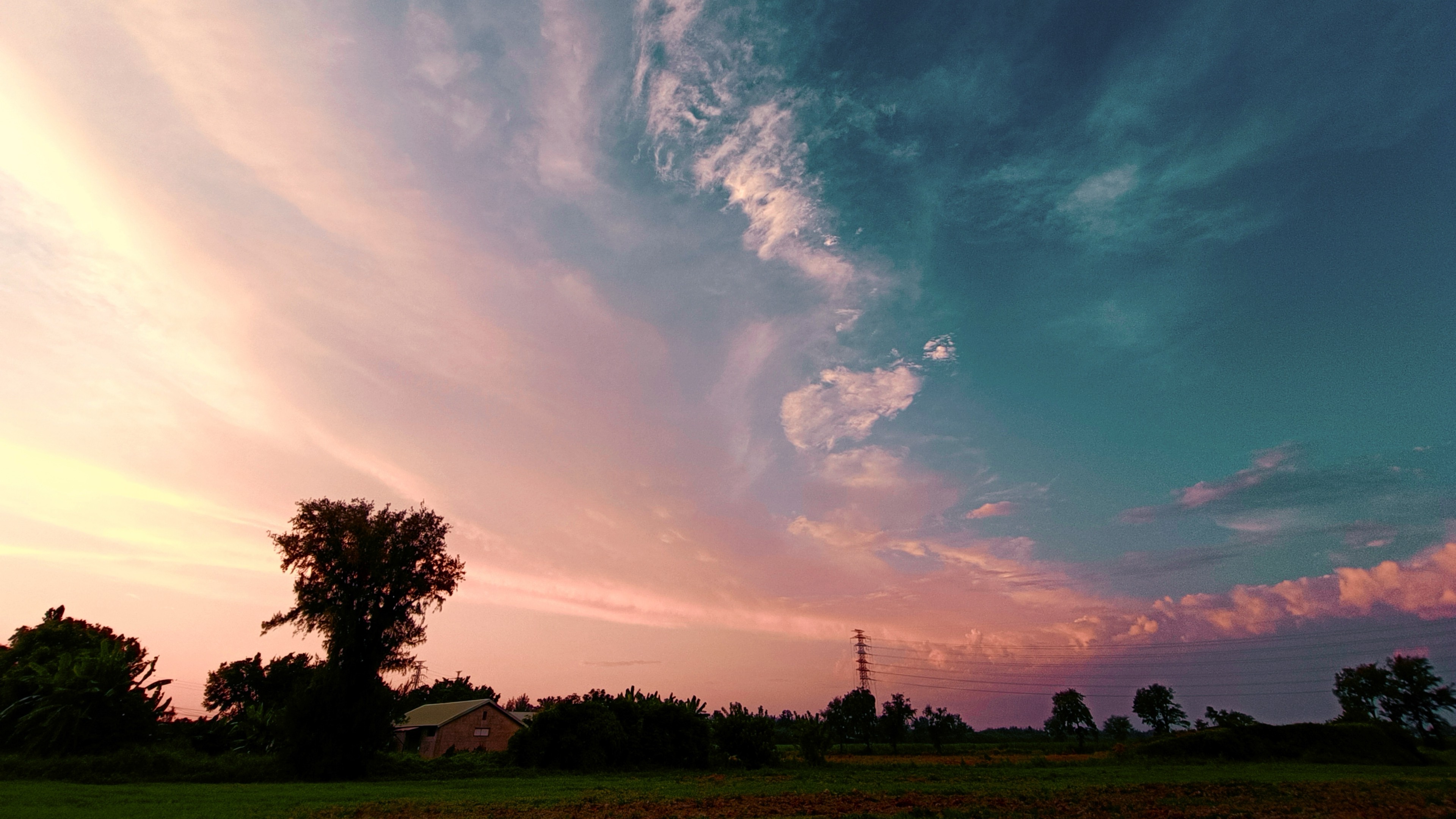 一隻喵獸一記喵拳
