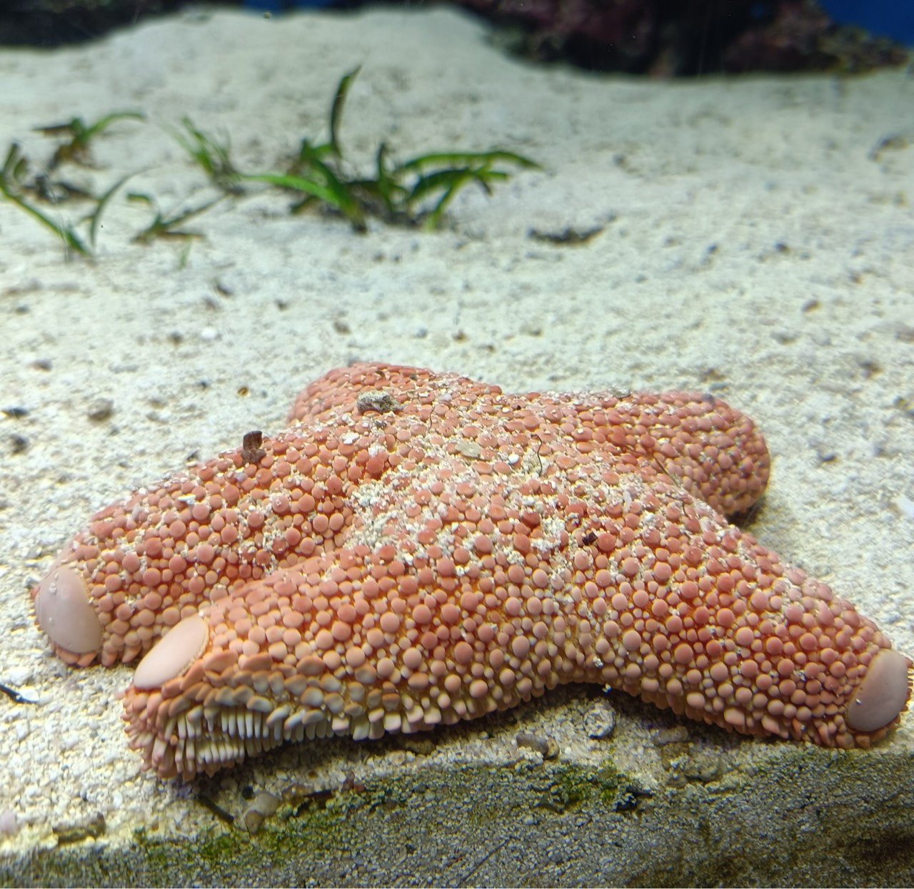 ²¹⁷圓弧 curve-circular